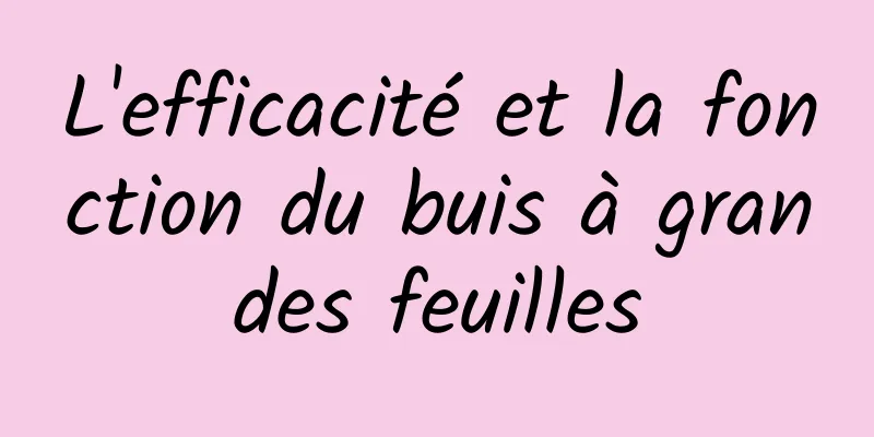 L'efficacité et la fonction du buis à grandes feuilles