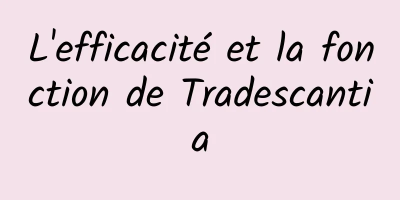 L'efficacité et la fonction de Tradescantia