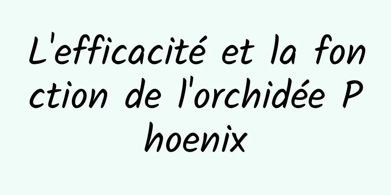 L'efficacité et la fonction de l'orchidée Phoenix