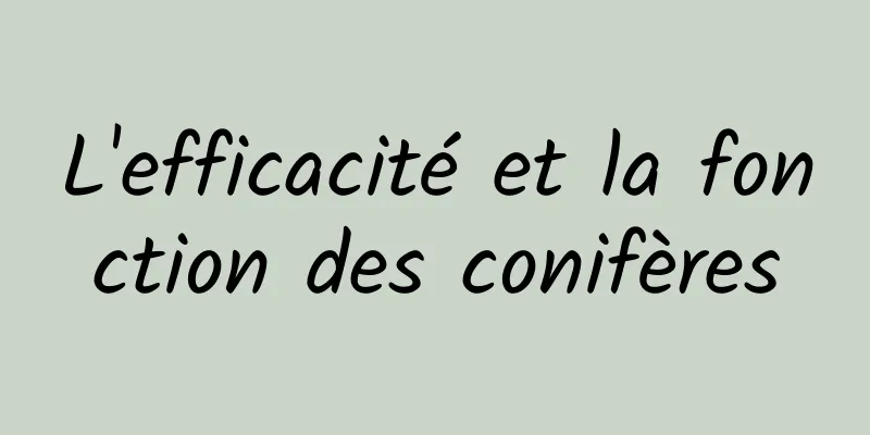 L'efficacité et la fonction des conifères