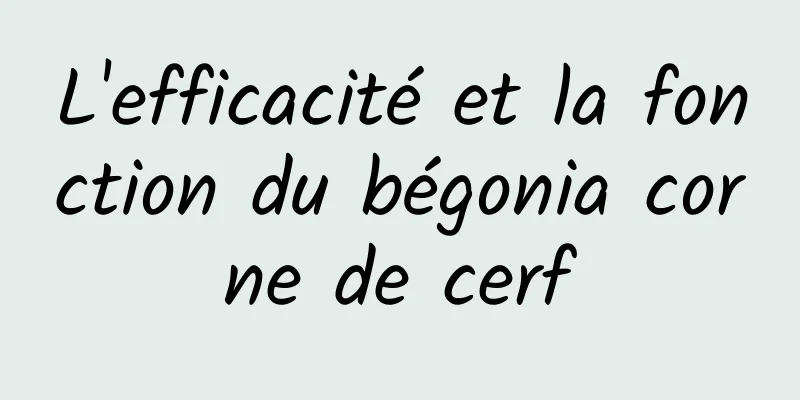 L'efficacité et la fonction du bégonia corne de cerf