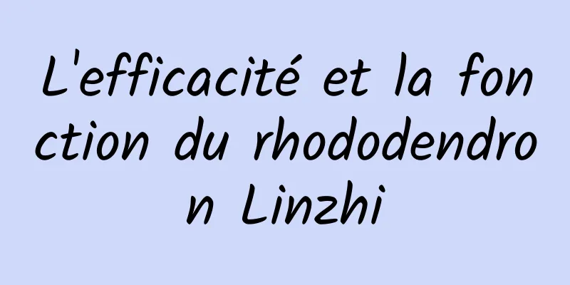 L'efficacité et la fonction du rhododendron Linzhi