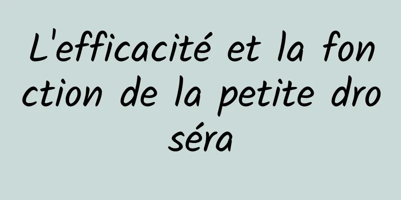 L'efficacité et la fonction de la petite droséra