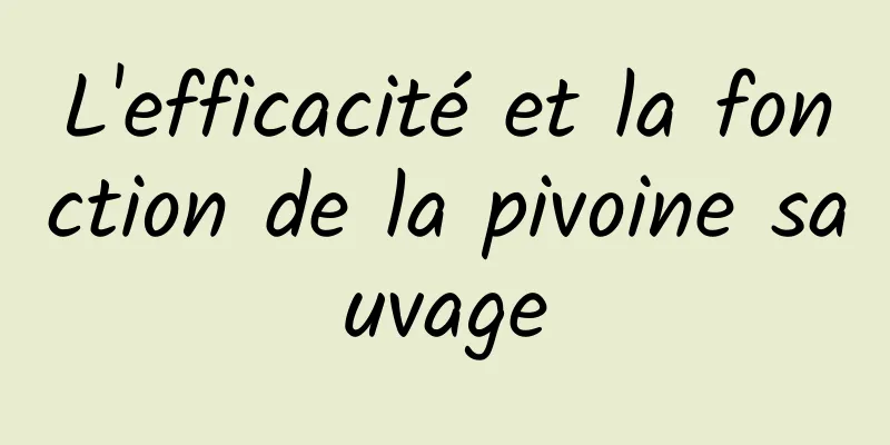 L'efficacité et la fonction de la pivoine sauvage