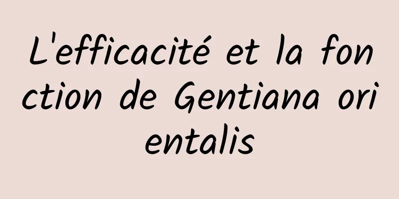 L'efficacité et la fonction de Gentiana orientalis