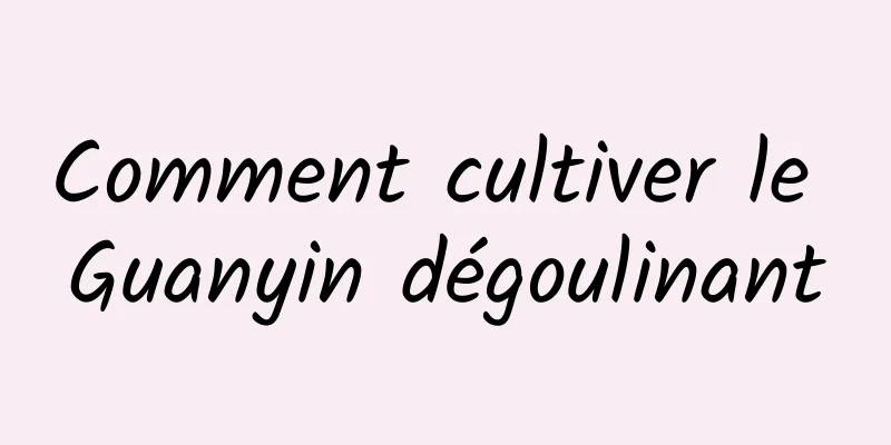 Comment cultiver le Guanyin dégoulinant