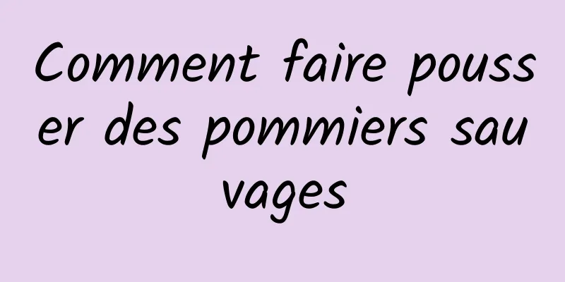 Comment faire pousser des pommiers sauvages