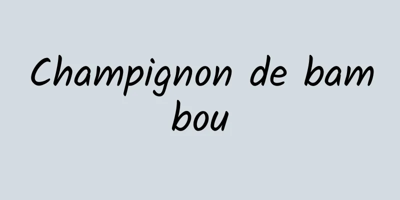 Champignon de bambou