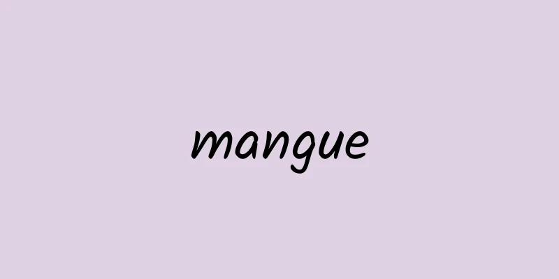 mangue