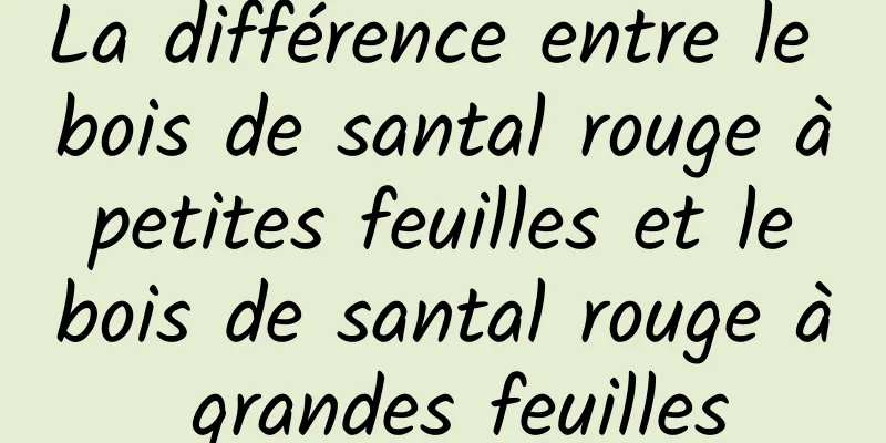 La différence entre le bois de santal rouge à petites feuilles et le bois de santal rouge à grandes feuilles